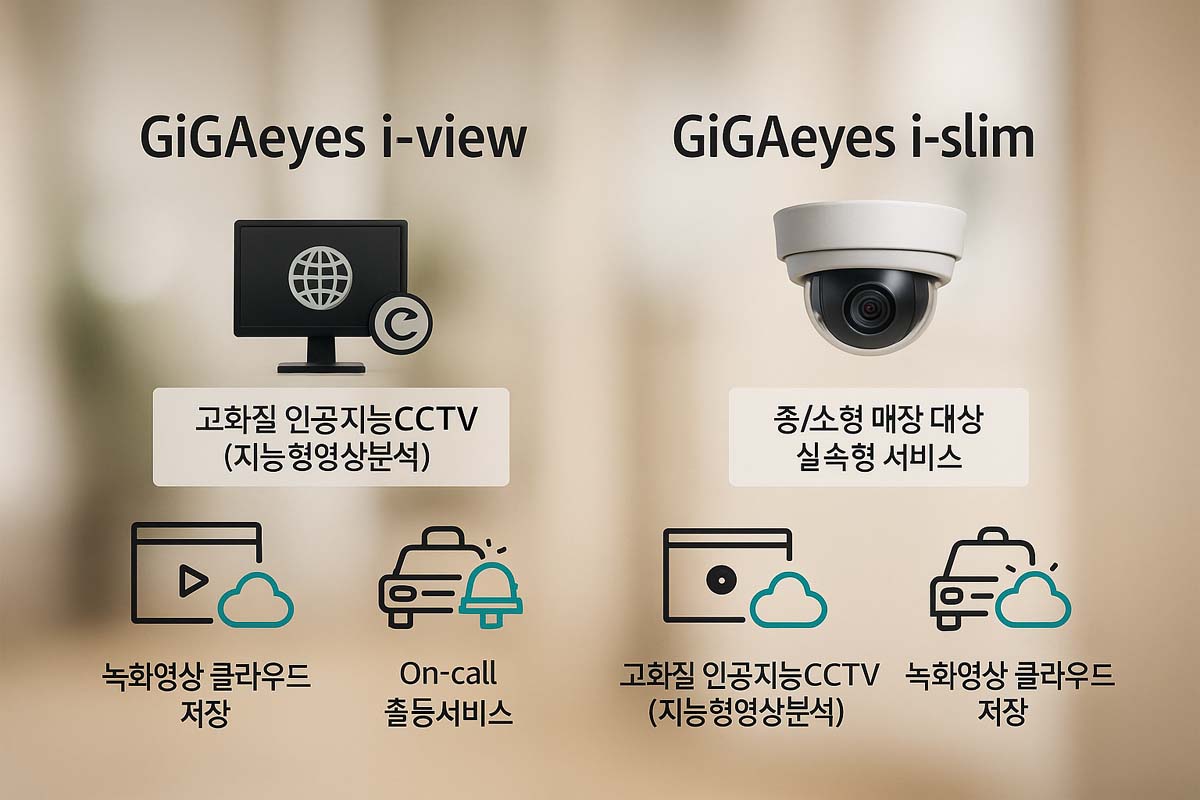 �Ⱑ������ CCTV ���� �̹���